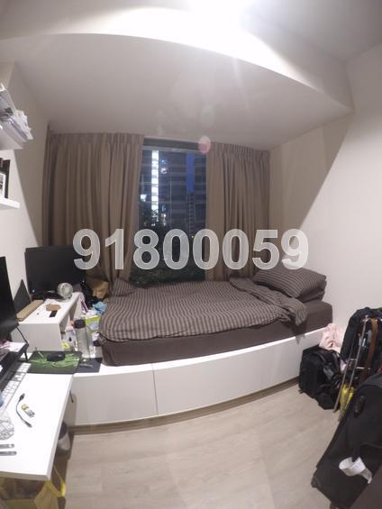 The Palette (D18), Condominium #154843882